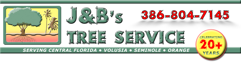 J&Bs Tree Service, Central Florida, 386-804-7145